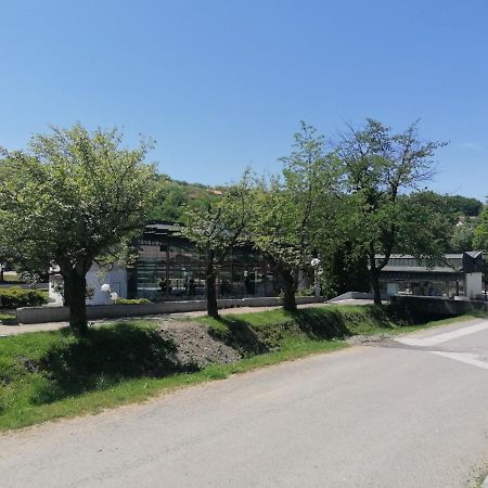Koko Apartman Vrnjačka Banja Extérieur photo