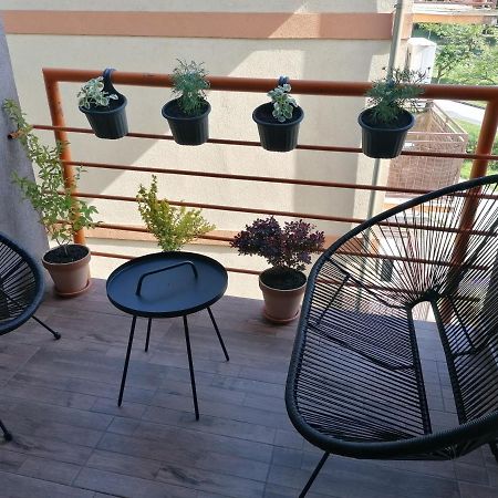 Koko Apartman Vrnjačka Banja Extérieur photo