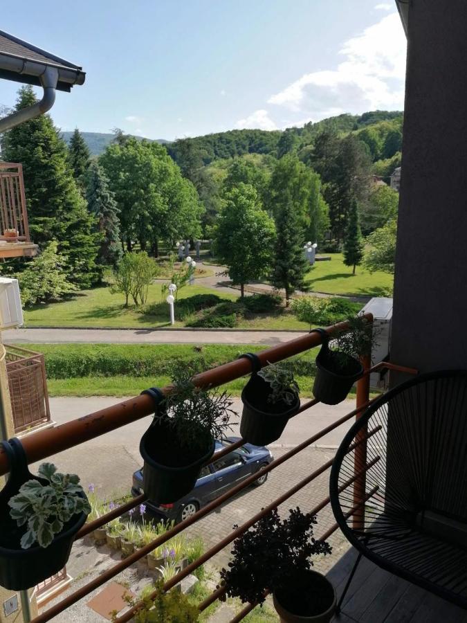 Koko Apartman Vrnjačka Banja Extérieur photo