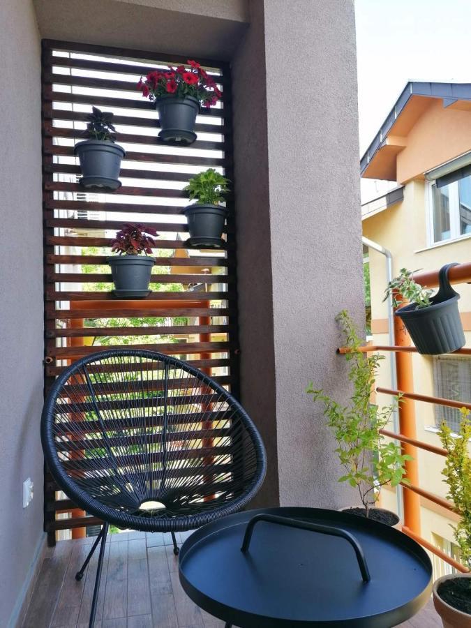 Koko Apartman Vrnjačka Banja Extérieur photo