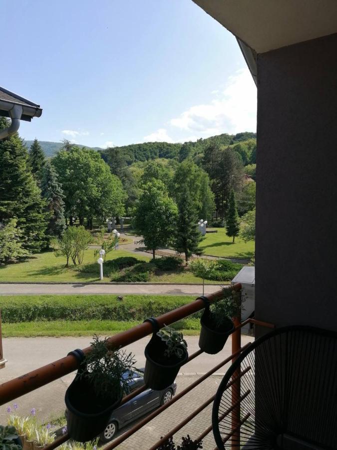 Koko Apartman Vrnjačka Banja Extérieur photo