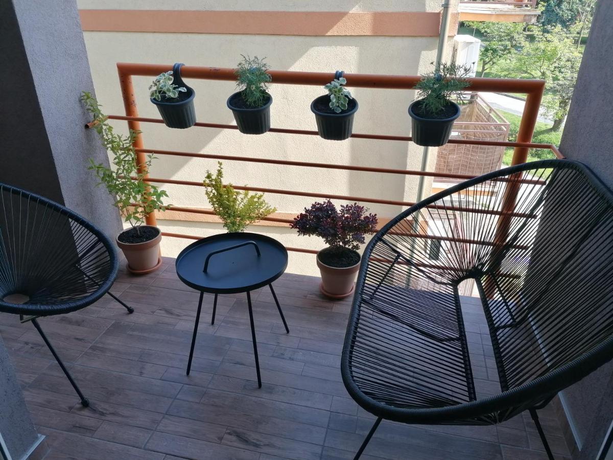 Koko Apartman Vrnjačka Banja Extérieur photo